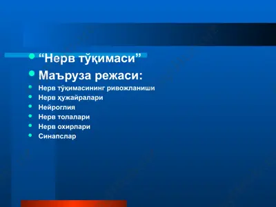 нерв тўқимаси — PPTX