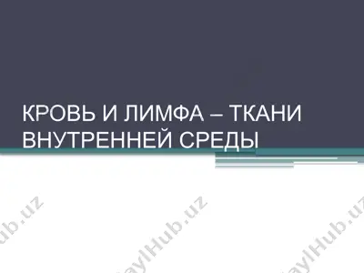 кровь и лимфа – ткани внутренней среды — PPTX