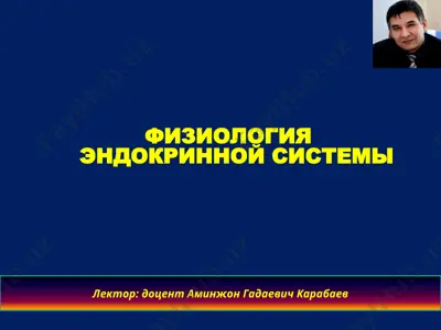 физиология эндокринной системы — PPTX