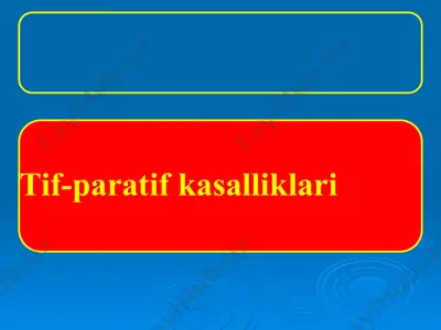 tif-paratif kasalliklari — PPTX