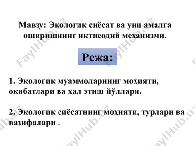 экологиксиёсат ва уни амалга оширишнинг иқтисодий механизми — PPTX