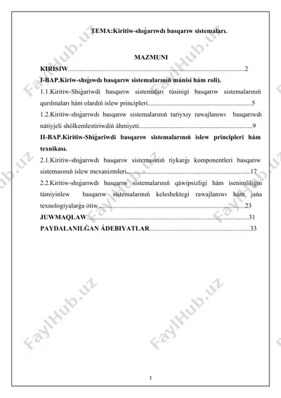 kiritiw-shiǵariwdi basqarıw sistemaları — DOCX