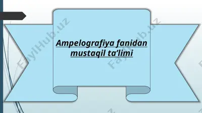 ampelografiya fanidan mustaqil ta'limi — PPTX