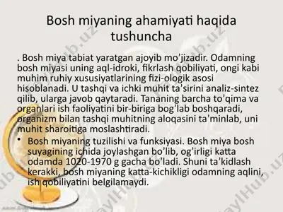boshmiyaning ahamiyati haqida tushuncha — PPTX