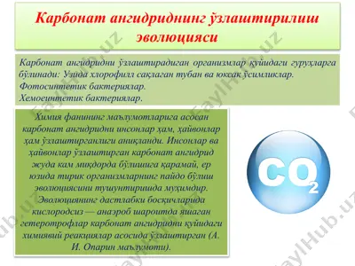 карбонат ангидриднинг ўзлаштирилиш эволюцияси — PPTX