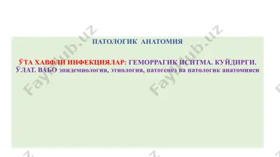 уттахавфли инфекциялар: геморрагик иситма — PPTX