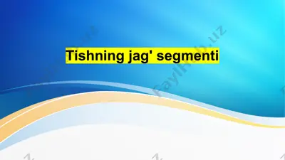 tishning jag' segmenti — PPTX