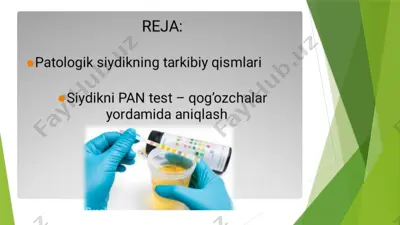siydik tahlili — PPTX