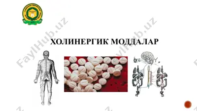 holinergik moddalar — PPTX