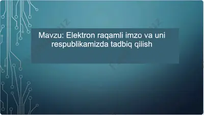 elektron raqamli imzo — PDF