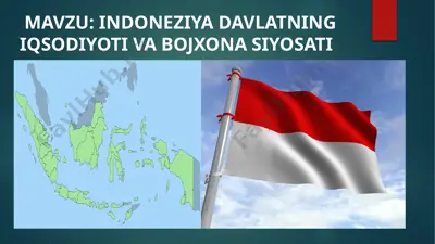 indoneziya davlatning iqtisodiyoti va bojxona siyosati — PPTX