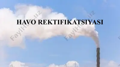 havo rektifikatsiyasi — PPTX