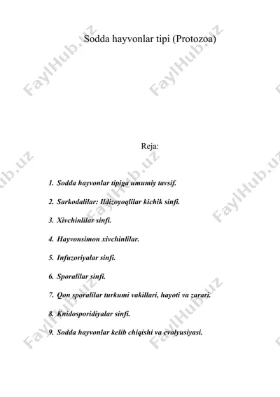 sodda hayvonlar tipi (protozoa) — DOCX