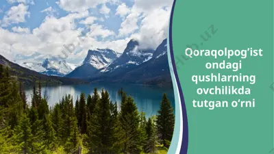 qoraqolpog’istondagi qushlarning ovchilikda tutgani — PPTX
