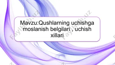 qushlarning uchishga moslanish belgilari , uchish xillari — PPTX
