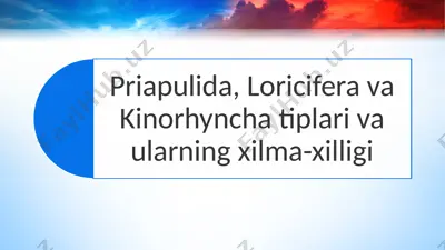 priapulida, loricifera va kinorhyncha tiplari va ularning xilma-xilligi — PPTX