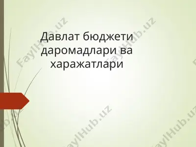 davlat bюdjeti daromadlari va xarajatlari — PPT