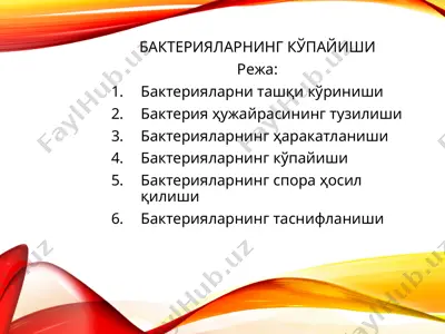 bakteriyalar — PPT