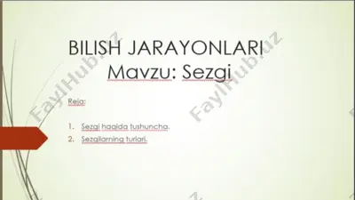 sezai hagida tushunche — PPTX