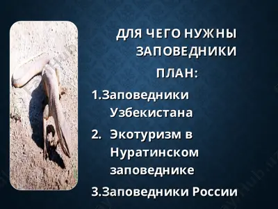 nūratin zapisnik — PPT