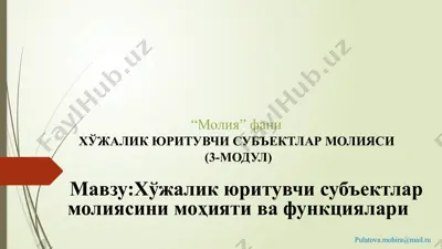 хўжалик юритувчи субъектлар молияси — PPTX