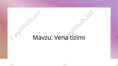 venatizimi — PPTX