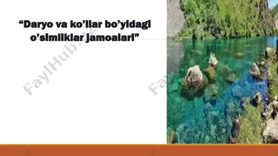 daryovako'llar bo'yidagi o'simliklar jamoalarining ekologik vazifalari — PPTX