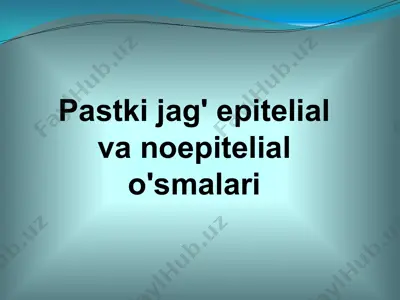 pastki jag'epitelial va noepitelial o'smalari — PPTX