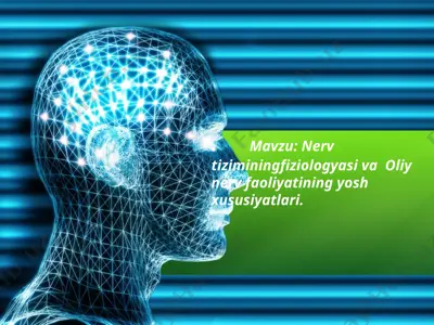 nervtizimining fiziotologiyasi va oliynerv faoliyati — PPTX
