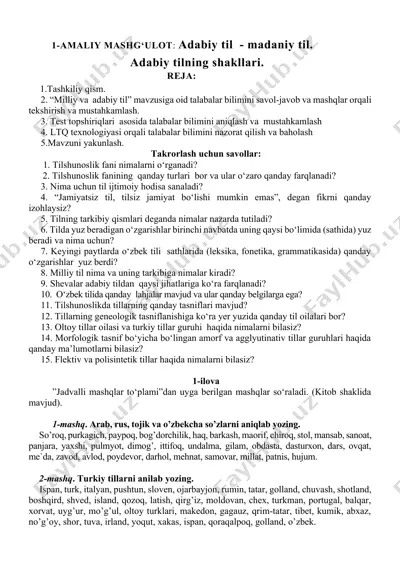 amaliy mashg‘ulot: adabiy til - madaniy til. — DOCX
