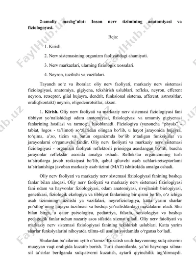 inson nerv tizimining anatomiyasi va fiziologoyasi — DOCX