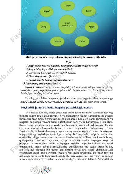 bilish jarayonlari haqida ma'lumotlar — DOCX