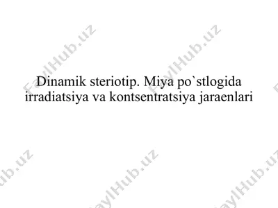dinamik stereotip — PPTX