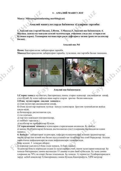 bakteriologik laboratoriya tarkibi — DOCX