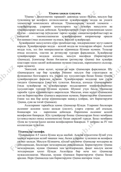 тўқима — DOCX