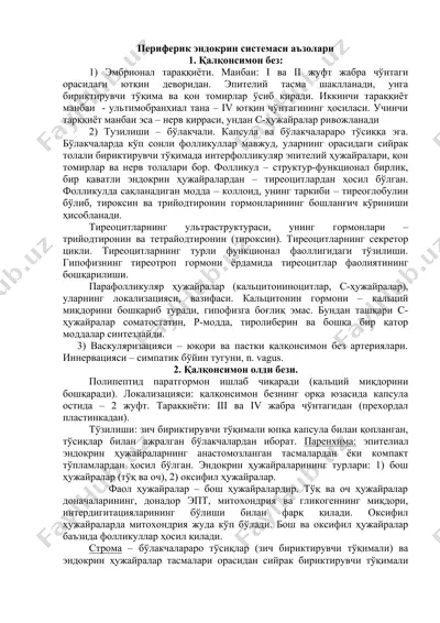 периферик эндокрин системаси аъзолари — DOCX