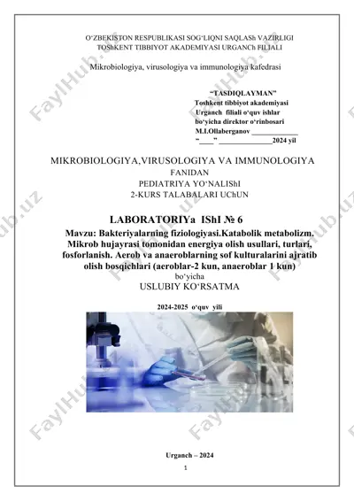 laboratoriya ishi #6 uslubiy ko'rsatma — DOCX