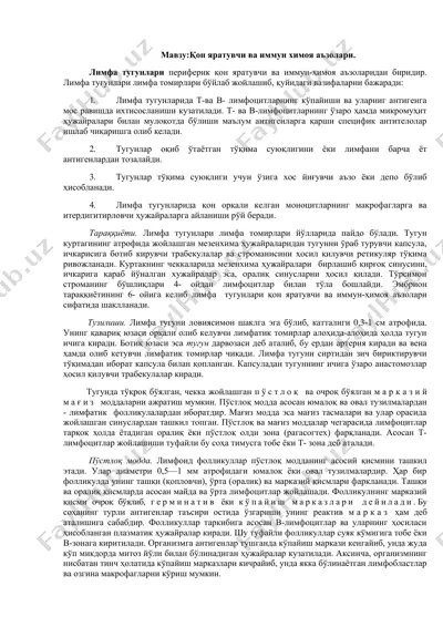 лимфа тугунлари — DOCX
