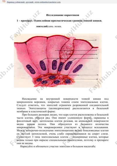 исследование наркотиков — DOCX