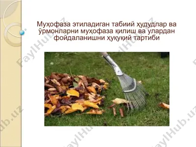 муҳофаза этиладиган табиий ҳудудлар ва ўрмонларни муҳофаза қилиш ва улардан фойдаланишни ҳуқуқий тартиби — PPTX