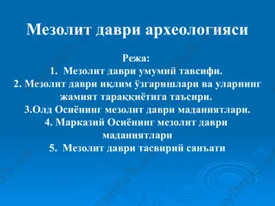 мезолит даври археологияси — PPT