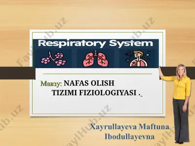 nafas olish tizimi fiziologiyasi — PPT
