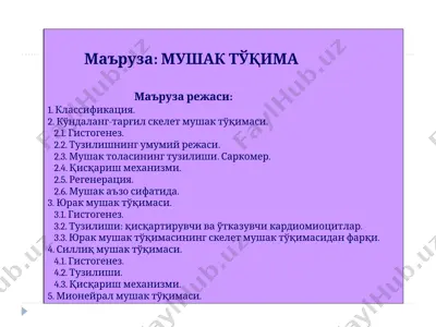 мушак тўқима — PPT