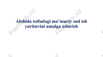alohida toifadagi ma’muriy sud ish yurituvini amalga oshirish — PPTX