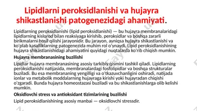 lipidlarning peroksidlanishi va hujayra shikastlanishi patogenezidagi ahamiyati — PPTX