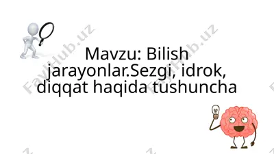 bilishjarayonlar. sezgi, idrok, diqqat-haqidatushuncha — PPTX