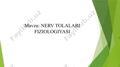 nerv tolalari fiziologiyasi — PPTX