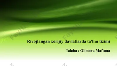 rivojlangan xorijiy davlatlarda ta'lim tizimi — PPTX