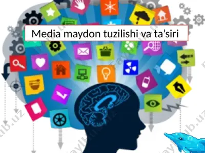 media maydon tuzilishi va ta’siri — PPTX