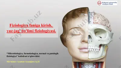 tishlar haqida faktlar — PPTX